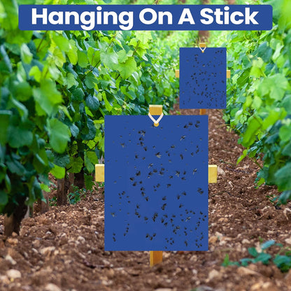 Qualirey 100 Pcs 6x8 Inch Blue Sticky Traps for Thrips