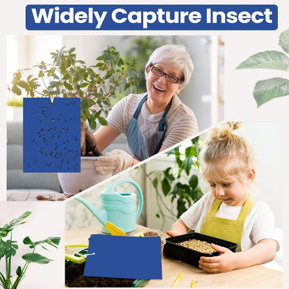 Qualirey 100 Pcs 6x8 Inch Blue Sticky Traps for Thrips