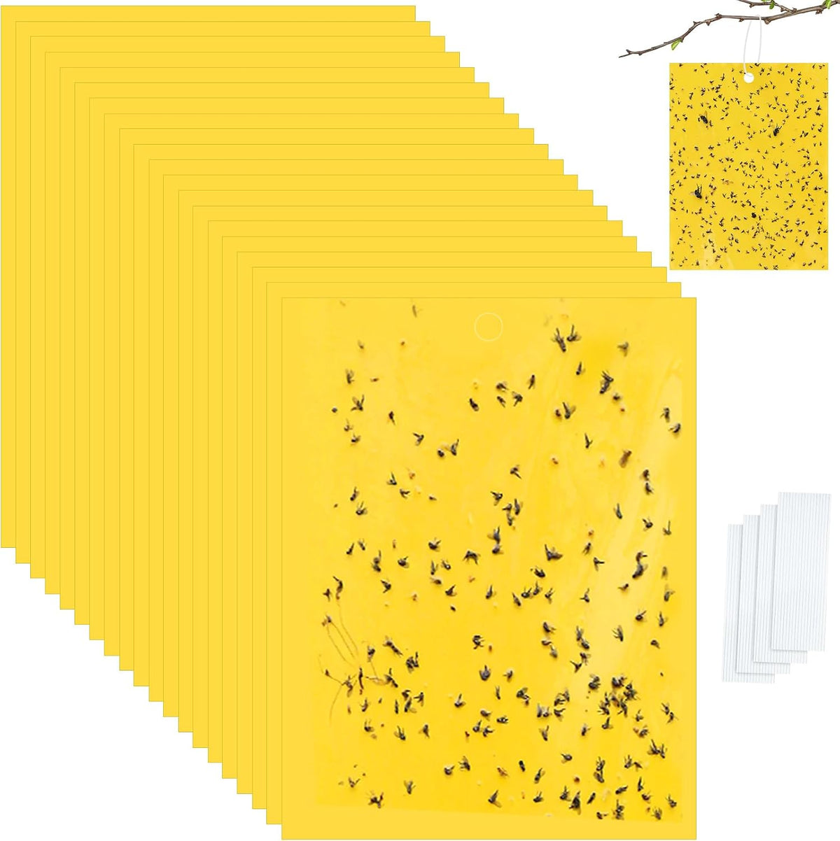Qualirey 100 Pcs 6x8 Inch Blue Sticky Traps for Thrips
