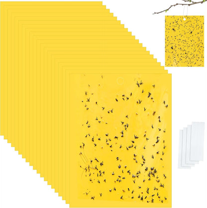Qualirey 100 Pcs 6x8 Inch Blue Sticky Traps for Thrips