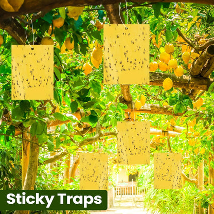 Qualirey 100 Pcs 6x8 Inch Blue Sticky Traps for Thrips