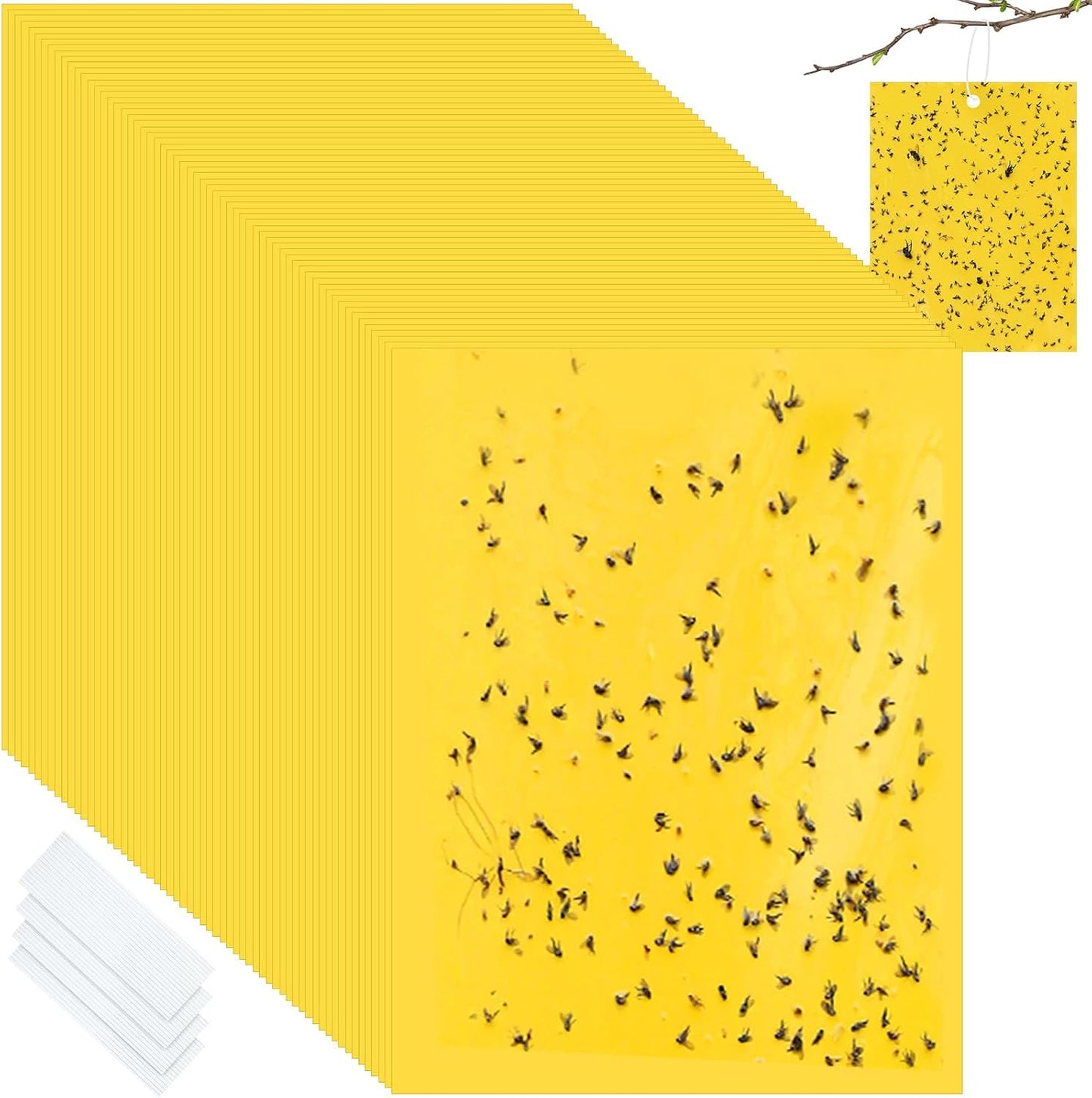 Qualirey 100 Pcs 6x8 Inch Blue Sticky Traps for Thrips