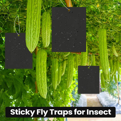 Qualirey 100 Pcs 6x8 Inch Blue Sticky Traps for Thrips