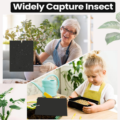 Qualirey 100 Pcs 6x8 Inch Blue Sticky Traps for Thrips