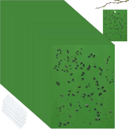 Qualirey 100 Pcs 6x8 Inch Blue Sticky Traps for Thrips