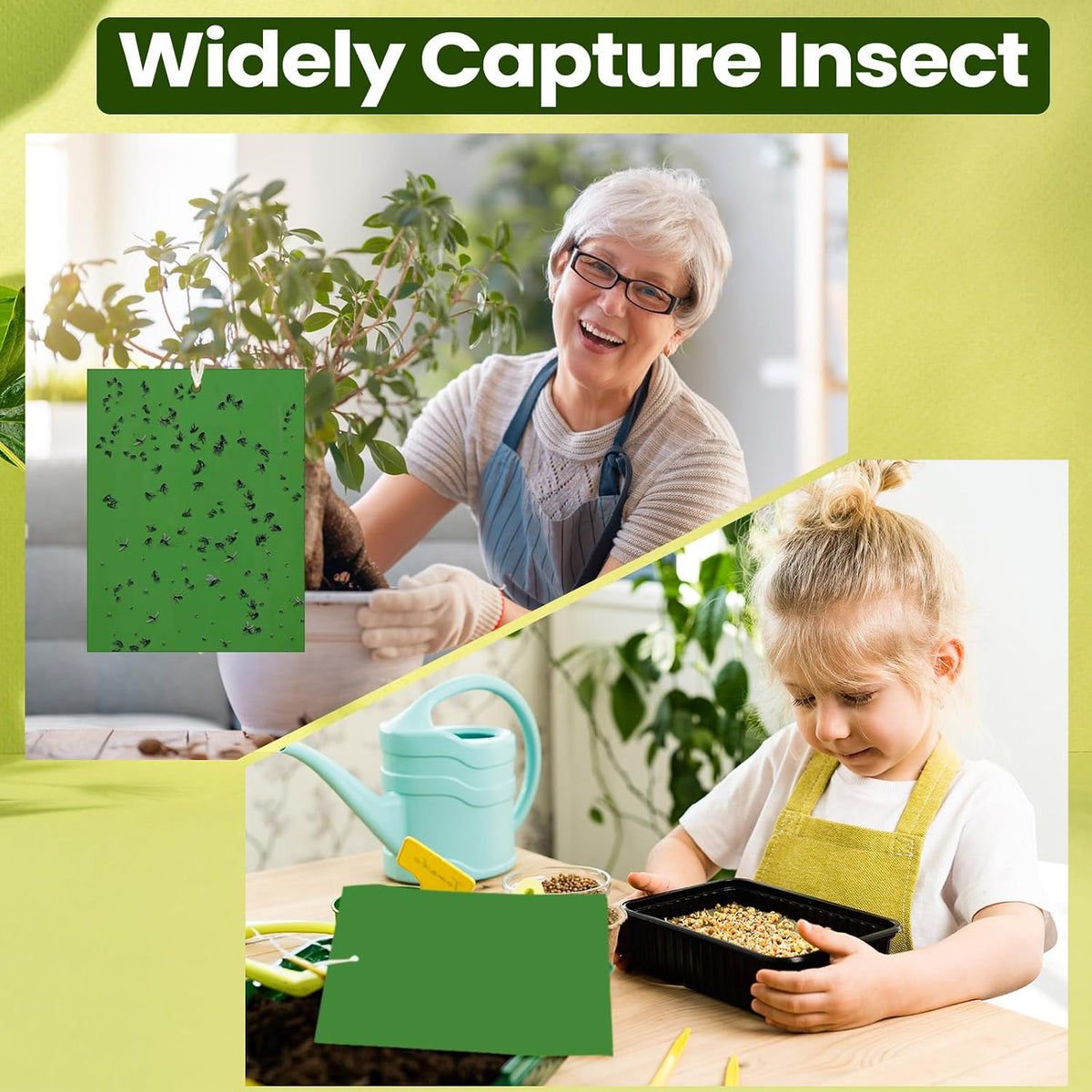 Qualirey 100 Pcs 6x8 Inch Blue Sticky Traps for Thrips