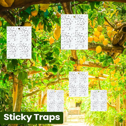 Qualirey 100 Pcs 6x8 Inch Blue Sticky Traps for Thrips