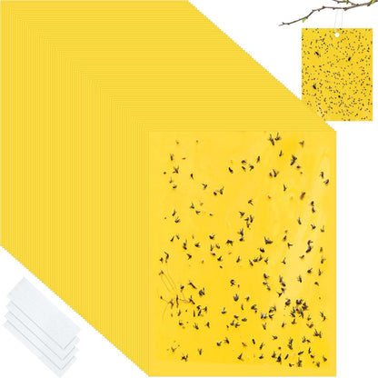 Qualirey 100 Pcs 6x8 Inch Blue Sticky Traps for Thrips