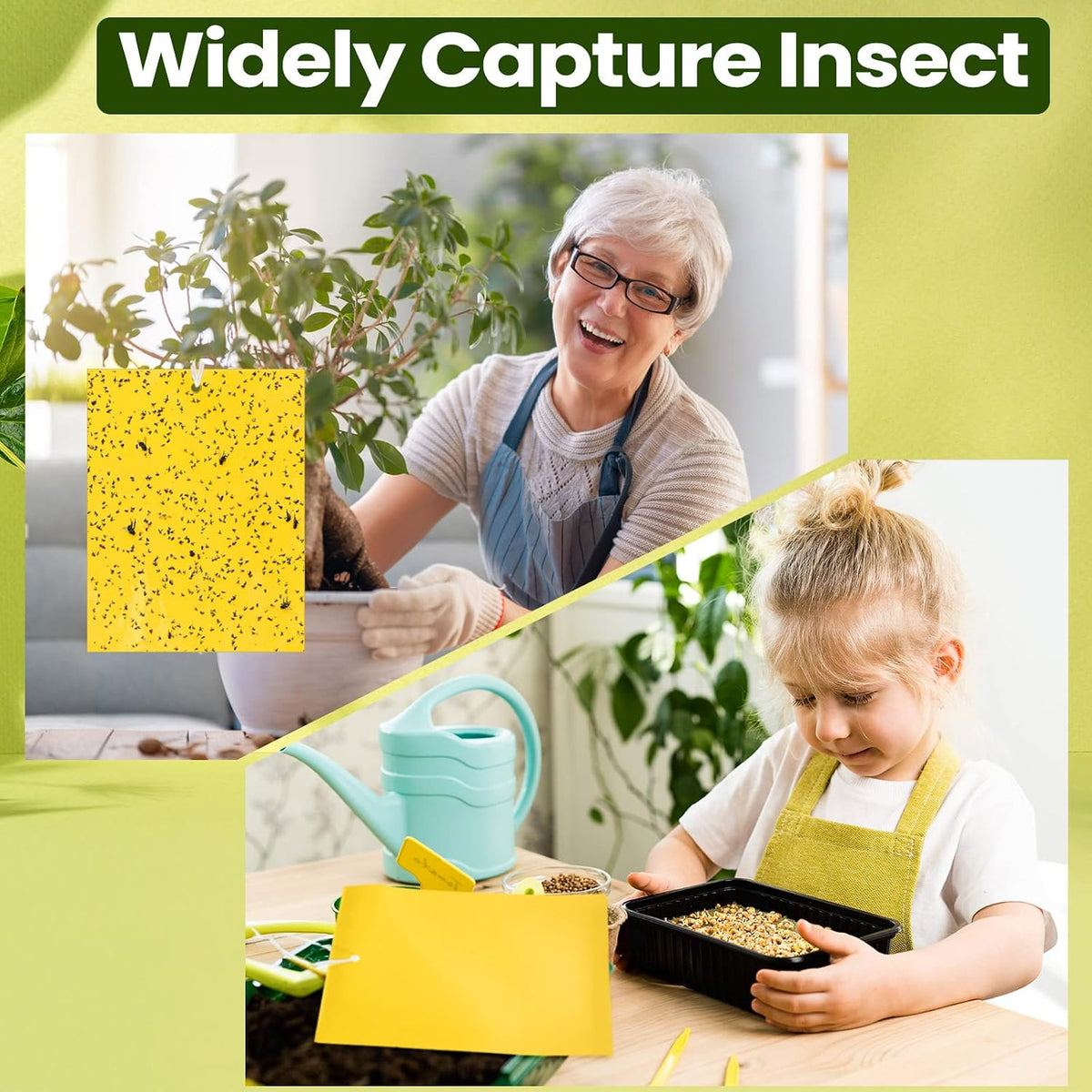 Qualirey 100 Pcs 6x8 Inch Blue Sticky Traps for Thrips