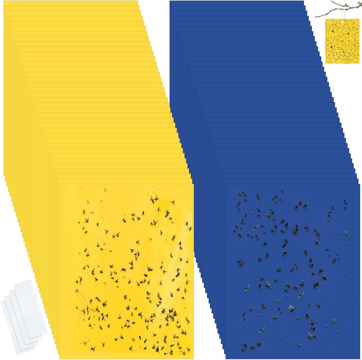 Qualirey 100 Pcs 6x8 Inch Blue Sticky Traps for Thrips