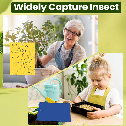 Qualirey 100 Pcs 6x8 Inch Blue Sticky Traps for Thrips