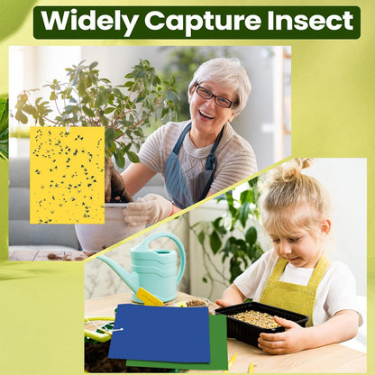 Qualirey 100 Pcs 6x8 Inch Blue Sticky Traps for Thrips