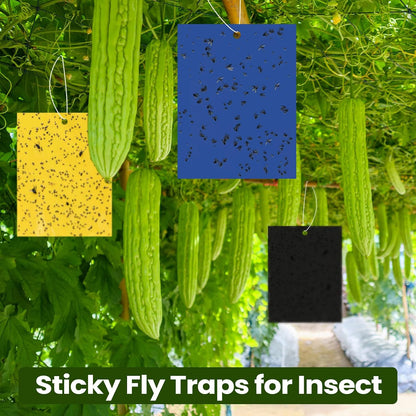 Qualirey 100 Pcs 6x8 Inch Blue Sticky Traps for Thrips