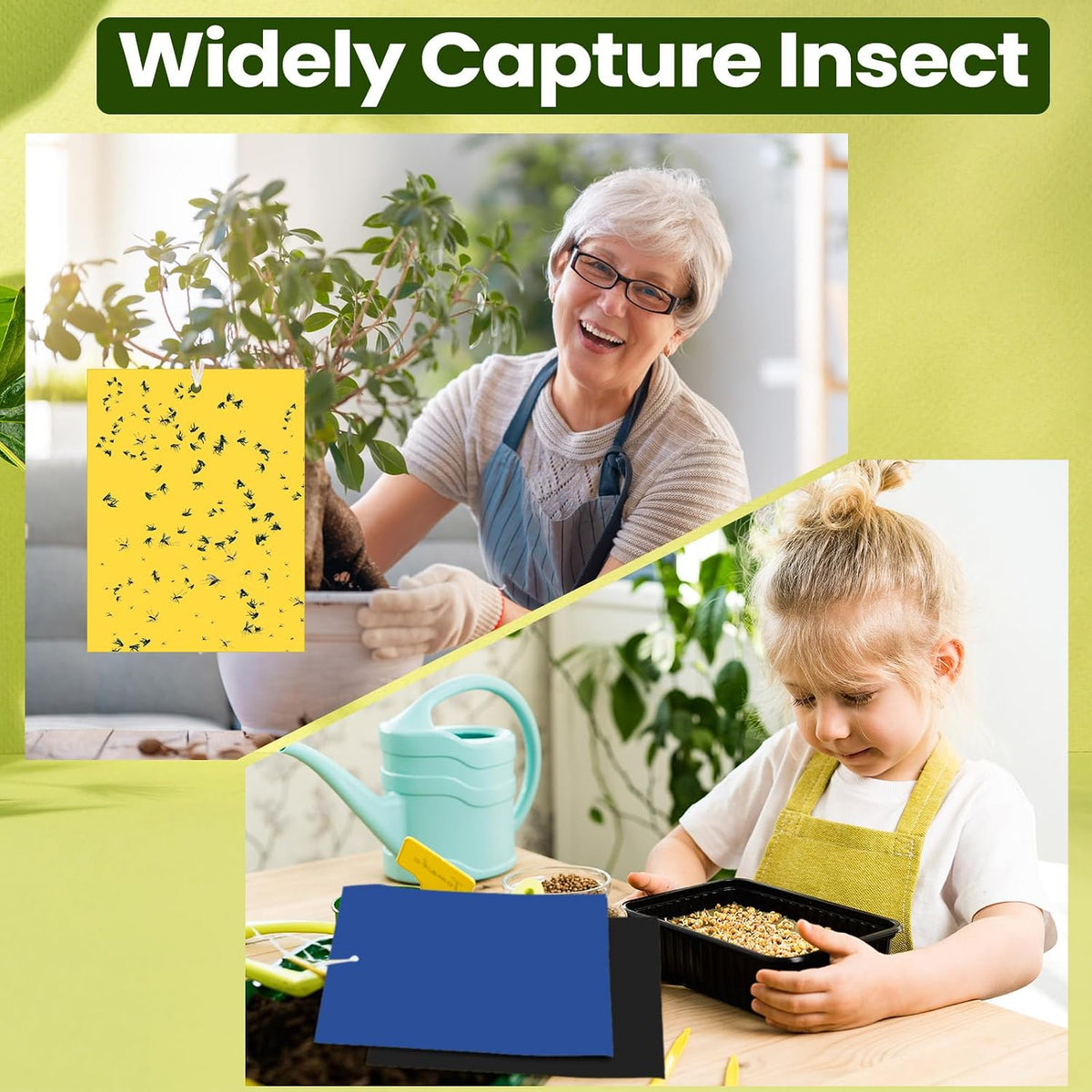Qualirey 100 Pcs 6x8 Inch Blue Sticky Traps for Thrips