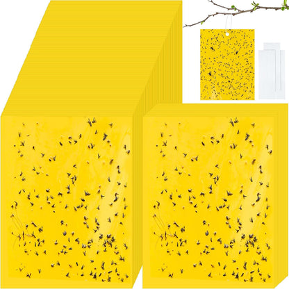 Qualirey 100 Pcs 6x8 Inch Blue Sticky Traps for Thrips