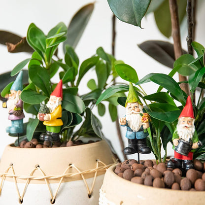 Miniature Garden Gnome Stakes Set, Resin Fairy Yard Outdoor Decor