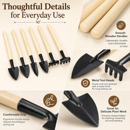 Mini Garden Tools Set, 6 Pcs Small Gardening Kit with Wooden Handle Rake, Shovel & Spade for Succulents, Bonsai, Terrariums, Houseplants, Potted Plants