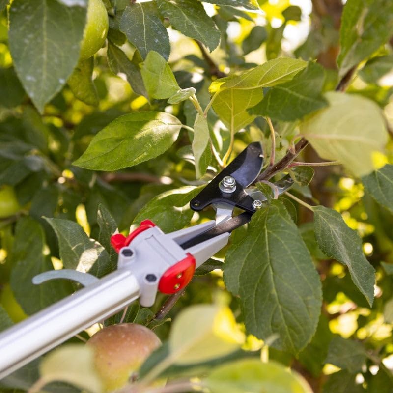 Telescoping Long-Reach Bypass Pruner