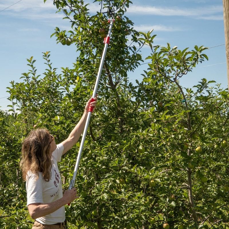 Telescoping Long-Reach Bypass Pruner
