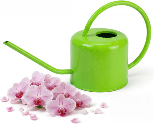 Long Spout Watering Can Indoor Plants, 40 oz Small Watering Can Pot Metal for Garden Flowers House Plants Mini, Powder Coated,Gift for Mom Girlfriend Daughter, Green