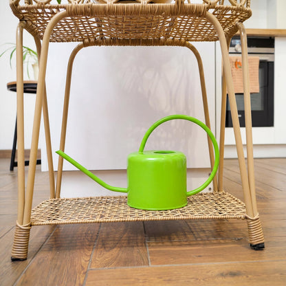 Long Spout Watering Can Indoor Plants, 40 oz Small Watering Can Pot Metal for Garden Flowers House Plants Mini, Powder Coated,Gift for Mom Girlfriend Daughter, Green
