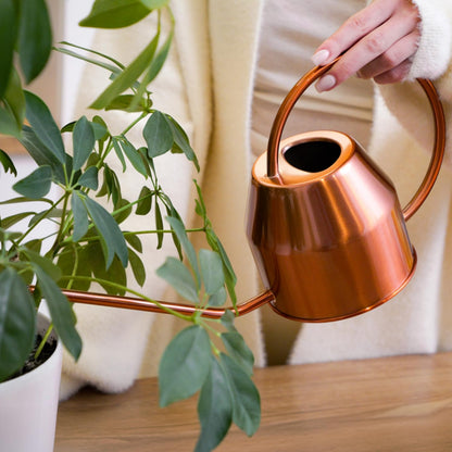 Long Spout Watering Can Indoor Plants, 40 oz Small Watering Can Pot Metal for Garden Flowers House Plants Mini, Powder Coated,Gift for Mom Girlfriend Daughter, Green