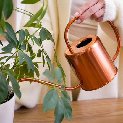 Long Spout Watering Can Indoor Plants, 40 oz Small Watering Can Pot Metal for Garden Flowers House Plants Mini, Powder Coated,Gift for Mom Girlfriend Daughter, Green