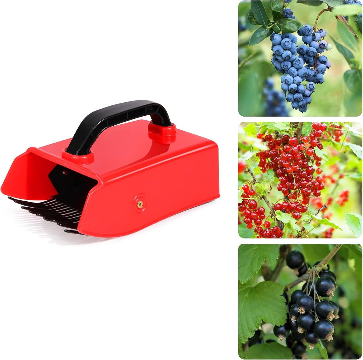 Blueberry Picker Scoop with Metal Rake, Berry Harvest Tool, Black Handle