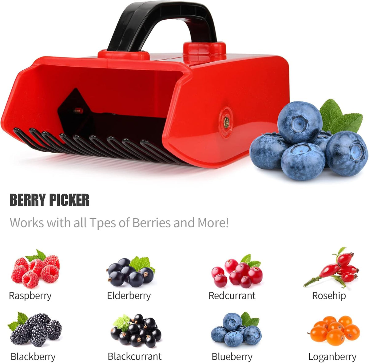 Blueberry Picker Scoop with Metal Rake, Berry Harvest Tool, Black Handle