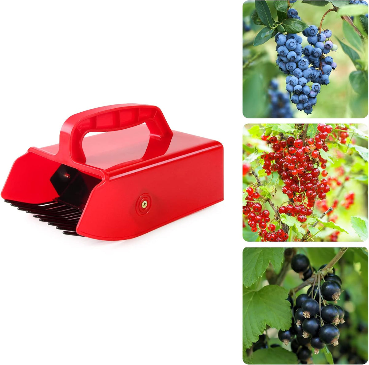 Blueberry Picker Scoop with Metal Rake, Berry Harvest Tool, Black Handle