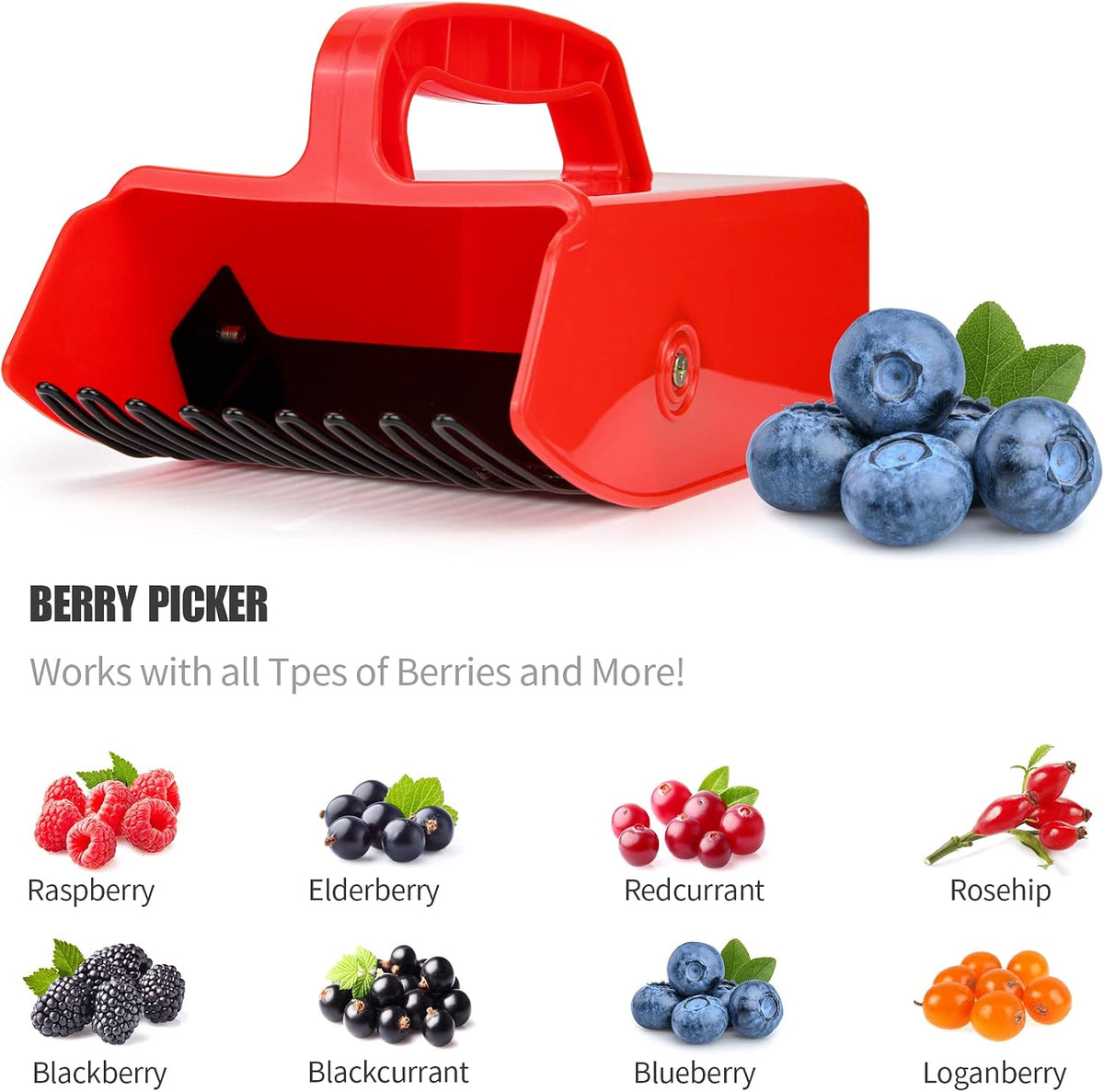 Blueberry Picker Scoop with Metal Rake, Berry Harvest Tool, Black Handle