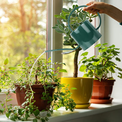 Indoor Watering Can for Houseplants- Long Spout Metal Watering Can for Indoor Plants,Succulents or Outdoor Garden Flower, 1.7L / 40 oz Gold