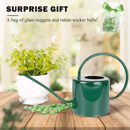 Indoor Watering Can for Houseplants- Long Spout Metal Watering Can for Indoor Plants,Succulents or Outdoor Garden Flower, 1.7L / 40 oz Gold