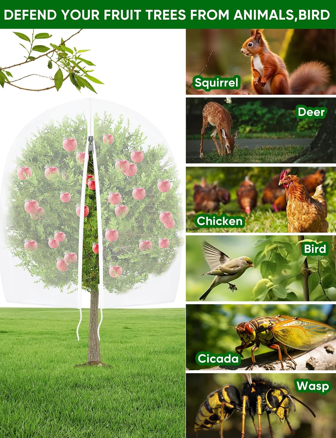 Large Fruit Trees Netting Cicadas - 2Pcs 3.3X3.3FT with Zipper and Drawstring,bird Mesh Covers for blueberry bushes,Garden Apple Pear Peach Orange Tree Fruit Tomato Bug Plant Protection (2, 3.3X3.3FT)
