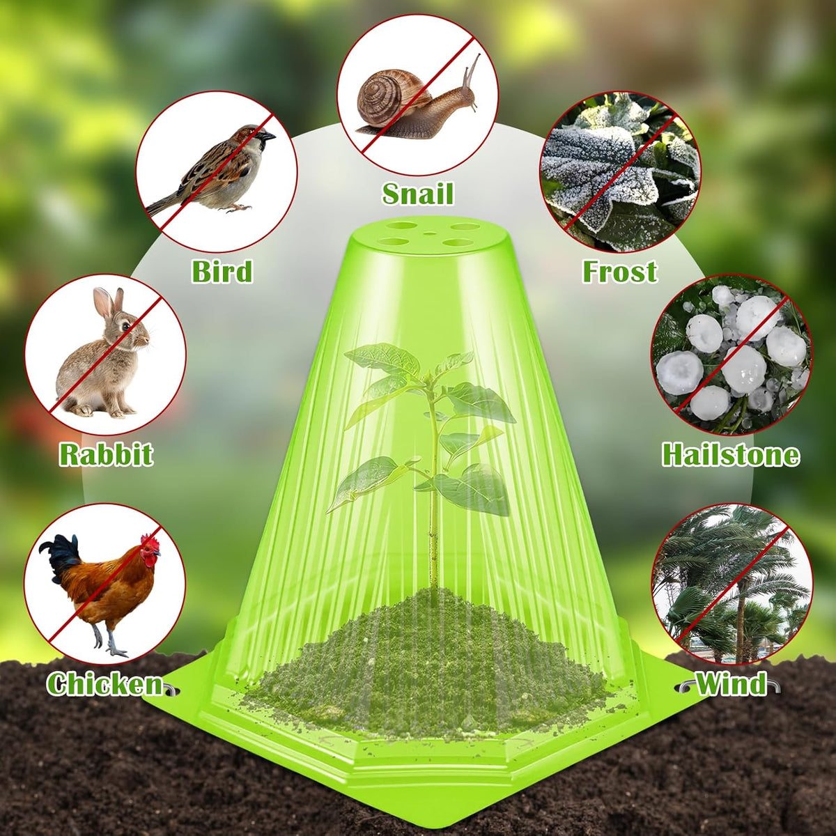 25PCS Garden Cloches for Plants with 50PCS Ground Stakes,Reusable Plant Bell Cover,Plastic Small Plant Seedling Protector Plants Cloches from Animals,Chickens, Birds,Snails & Frost,7.9" H X 6.7" D
