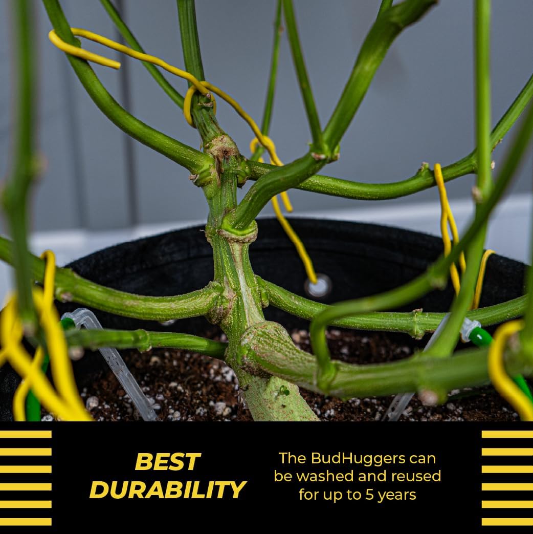 BudHuggers for Low Stress Plant Training, 50 Ft, Blue
