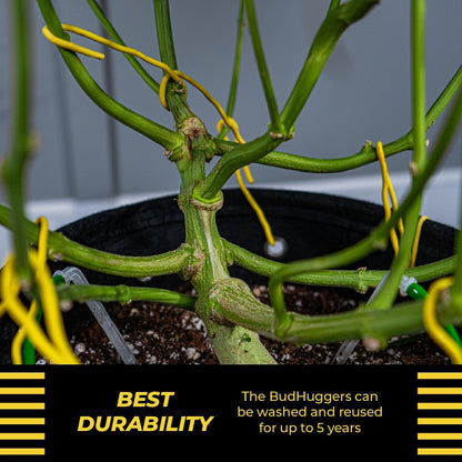 BudHuggers for Low Stress Plant Training, 50 Ft, Blue