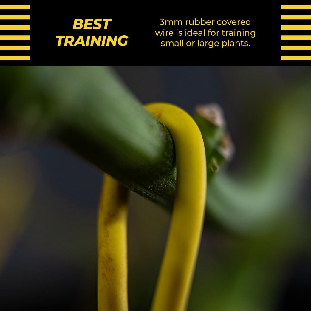 BudHuggers for Low Stress Plant Training, 50 Ft, Blue