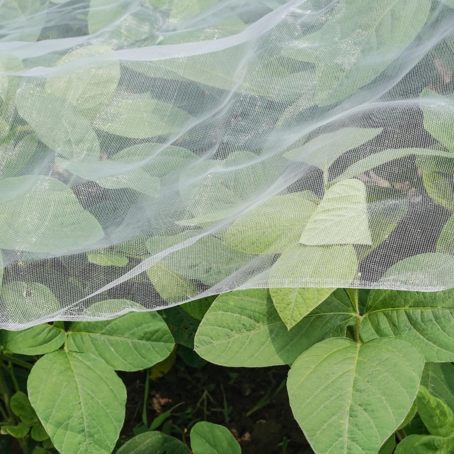 4 x10 ft Black Garden Netting Row Cover, Ultra Fine Mesh for Protection Row Cover Raised Bed Screen Mesh Greenhouse Mosquito Net, Protecting Tree Plants Vegetable Flowers Fruits