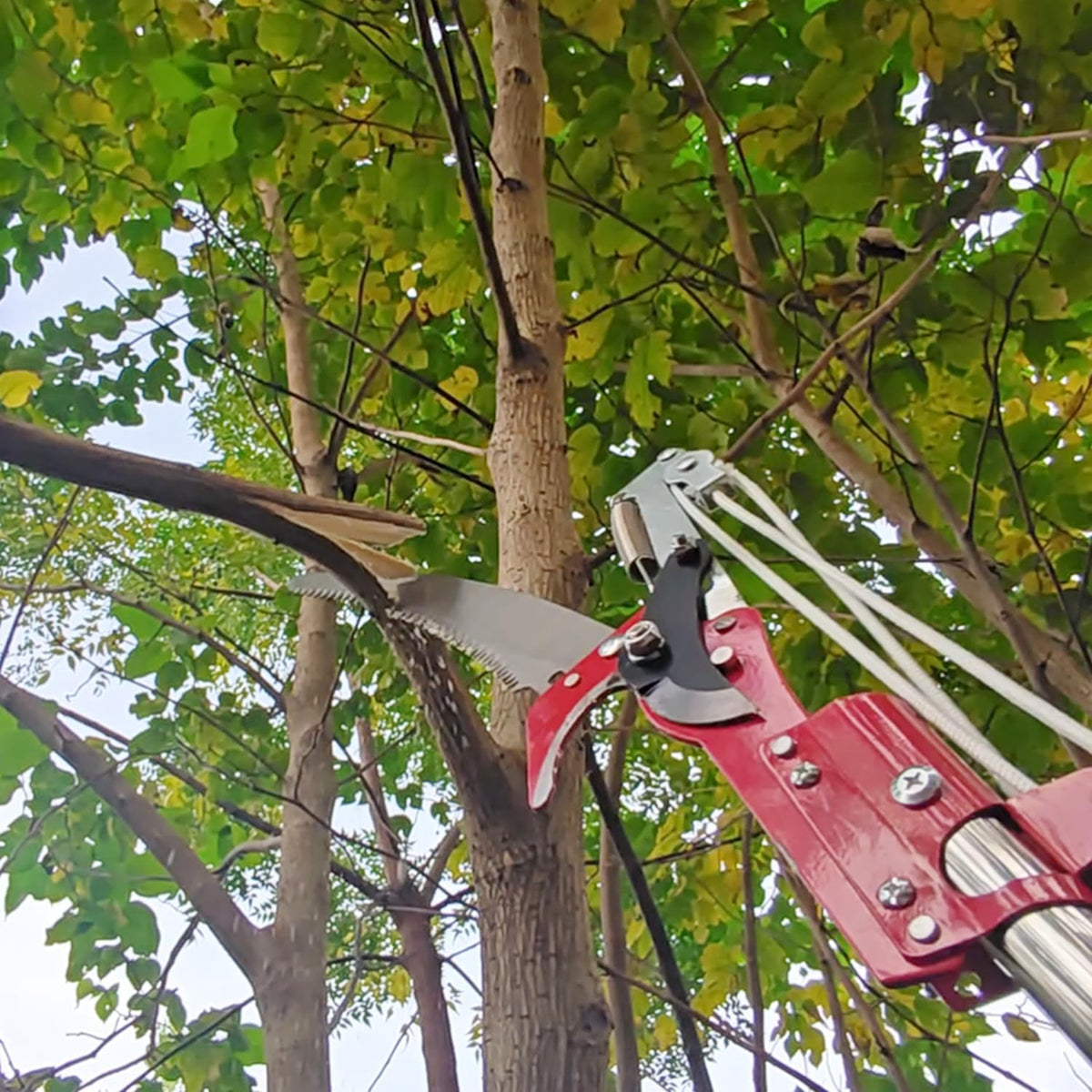 Extendable Pole Saw & Pruner, 13.6FT 2-in-1 Tree Trimmer