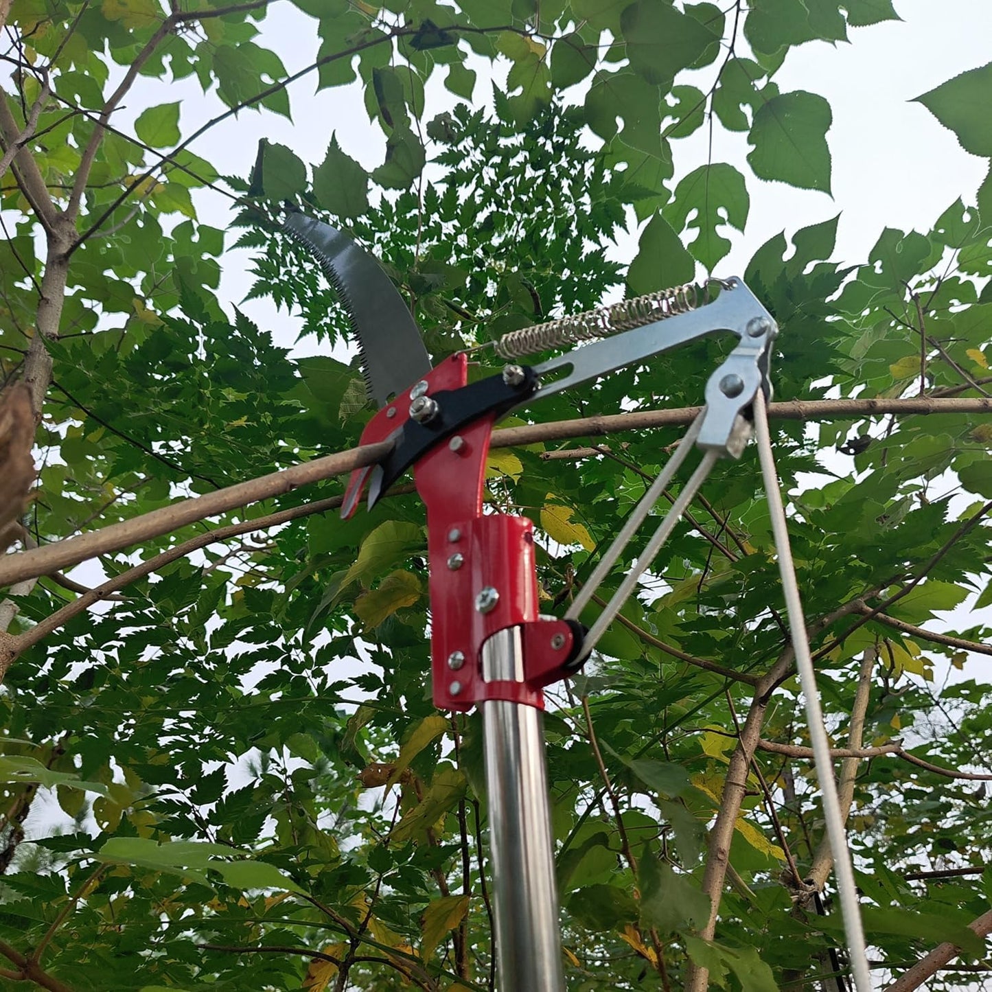 Extendable Pole Saw & Pruner, 13.6FT 2-in-1 Tree Trimmer
