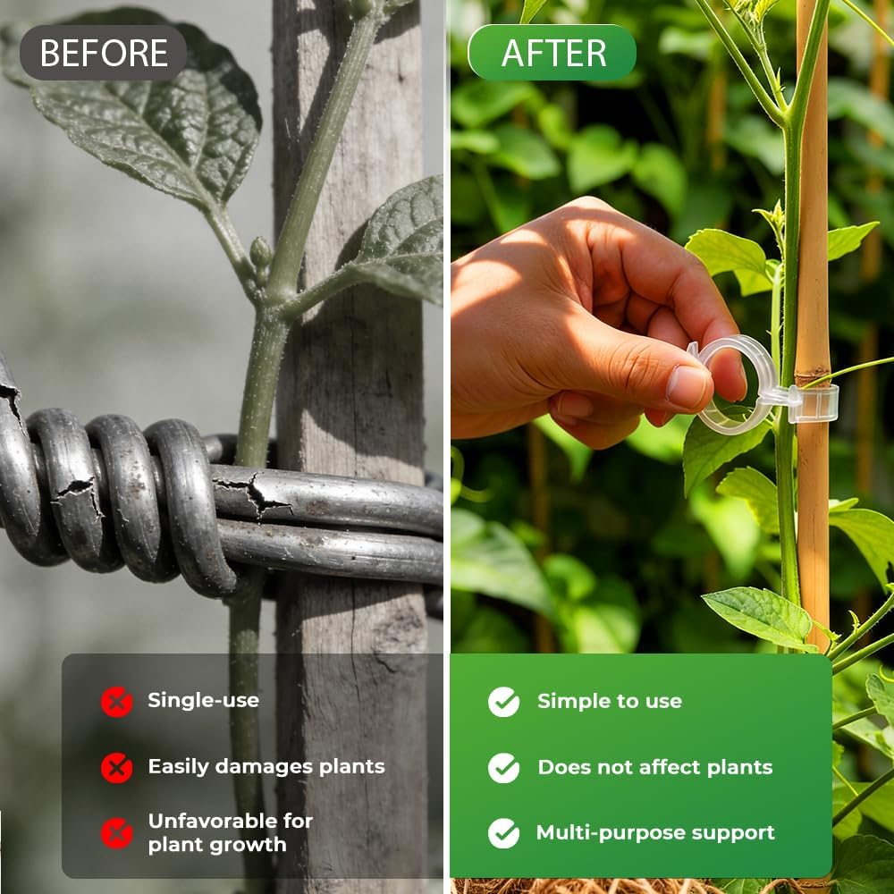 Secured Plastic Plant Clip, 2026 Upgraded Plant Support Clips Reusable Garden Clips, Plant Support Clips Garden Climbing Vines Fixing Clip Trellis Clips Climbing Tomato Clip (Green, 50pcs)