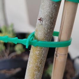 Garden Ties - 30 Pack of 8” Heavy Duty Plant Ties for Tomatoes, Climbing Plants, Roses, Vines, Vegetables - Easy Snap Together Design