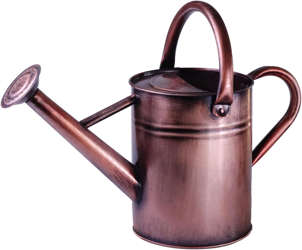 Metal Watering Can for Outdoor Plants, 1 Gallon Galvanized Steel Watering Can with Removable spout for Outdoor & Indoor Use, Perfect for Garden Flower, Houseplants, Copper