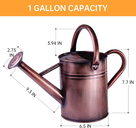 Metal Watering Can for Outdoor Plants, 1 Gallon Galvanized Steel Watering Can with Removable spout for Outdoor & Indoor Use, Perfect for Garden Flower, Houseplants, Copper