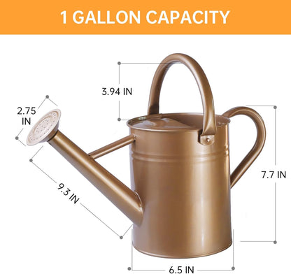 Metal Watering Can for Outdoor Plants, 1 Gallon Galvanized Steel Watering Can with Removable spout for Outdoor & Indoor Use, Perfect for Garden Flower, Houseplants, Copper