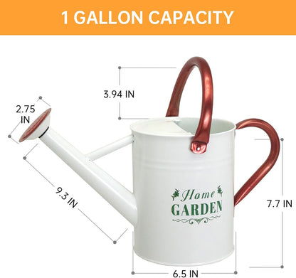 Metal Watering Can for Outdoor Plants, 1 Gallon Galvanized Steel Watering Can with Removable spout for Outdoor & Indoor Use, Perfect for Garden Flower, Houseplants, Copper
