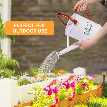 Metal Watering Can for Outdoor Plants, 1 Gallon Galvanized Steel Watering Can with Removable spout for Outdoor & Indoor Use, Perfect for Garden Flower, Houseplants, Copper