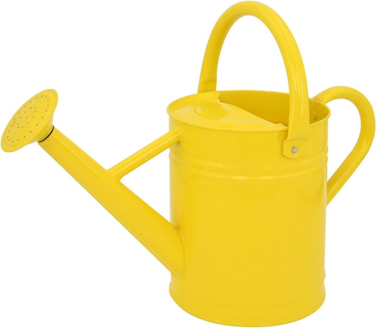 Metal Watering Can for Outdoor Plants, 1 Gallon Galvanized Steel Watering Can with Removable spout for Outdoor & Indoor Use, Perfect for Garden Flower, Houseplants, Copper