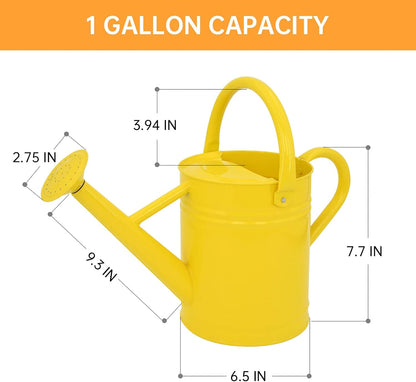 Metal Watering Can for Outdoor Plants, 1 Gallon Galvanized Steel Watering Can with Removable spout for Outdoor & Indoor Use, Perfect for Garden Flower, Houseplants, Copper